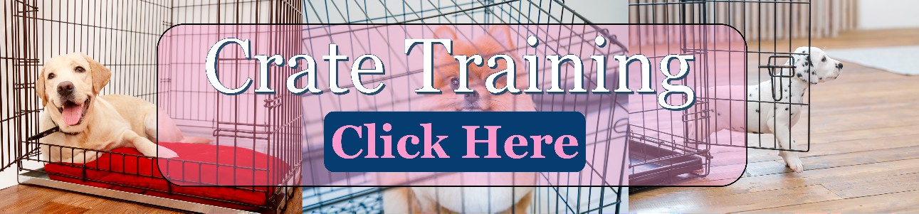 nationwide puppies crate training click