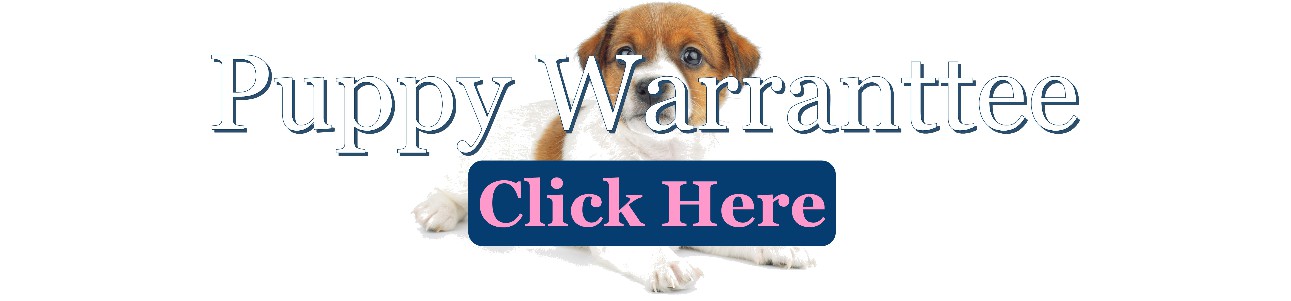 Nationwide Puppies Puppy Warrantee